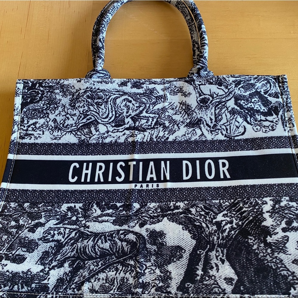 CHRISTIAN DIOR boutique Paris tote